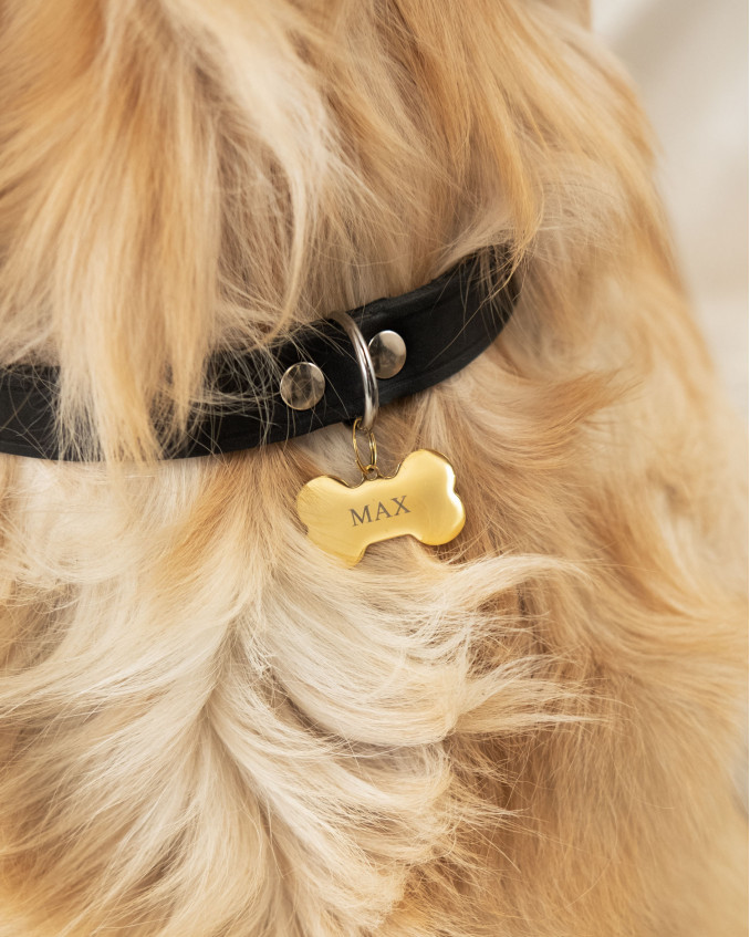 Tomaat account veer Hondenpenning bot graveren kleur goud | Penningen | DRKS.nl