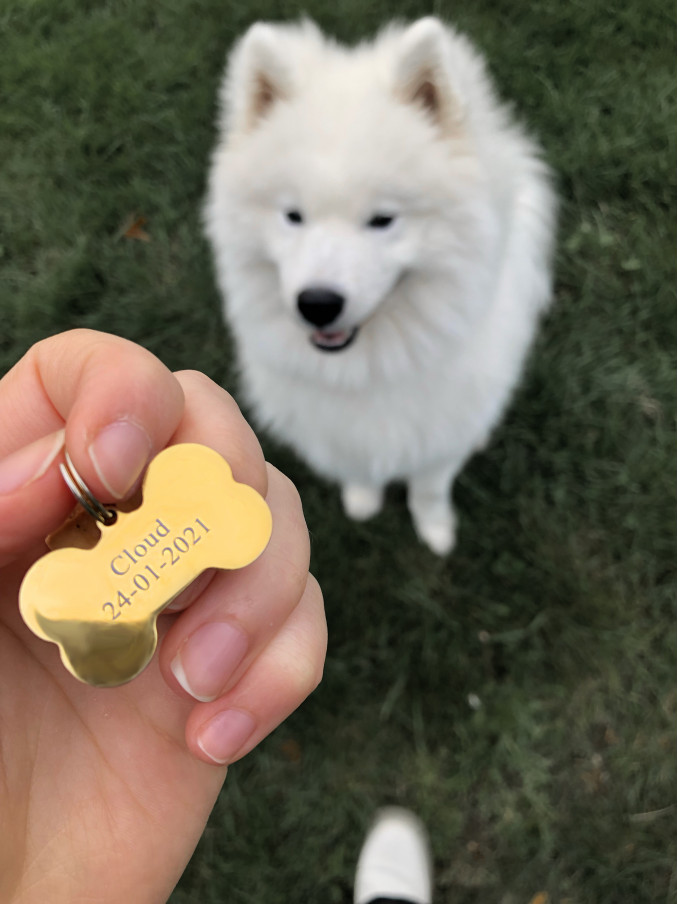 Hondenpenning bot graveren kleur goud