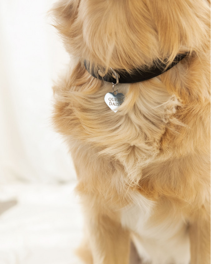 Trendy zilveren penning voor de hond met een graveerbaar hart