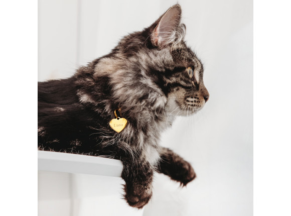 Graveerbare kattenpenning with love kleur goud
