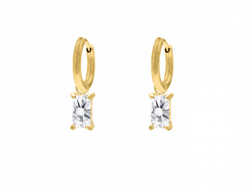 Special gift earrings goldplated