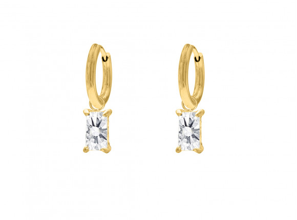 Special gift earrings goldplated