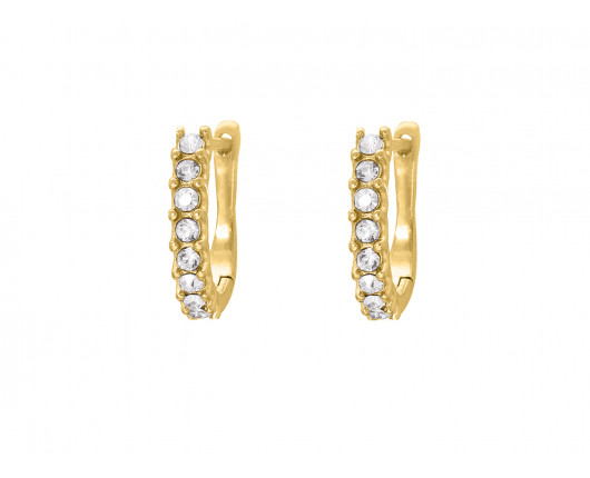 Crystal stone earrings goldplated