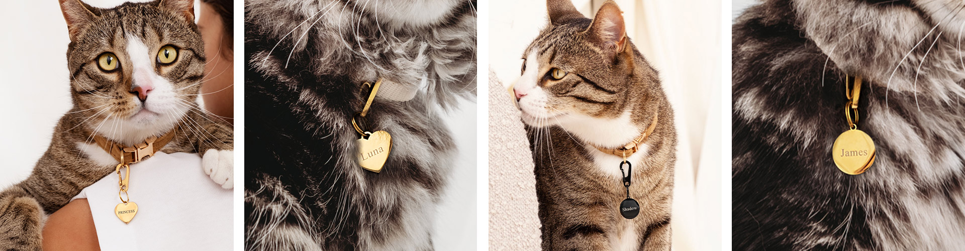 Kattenpenningen