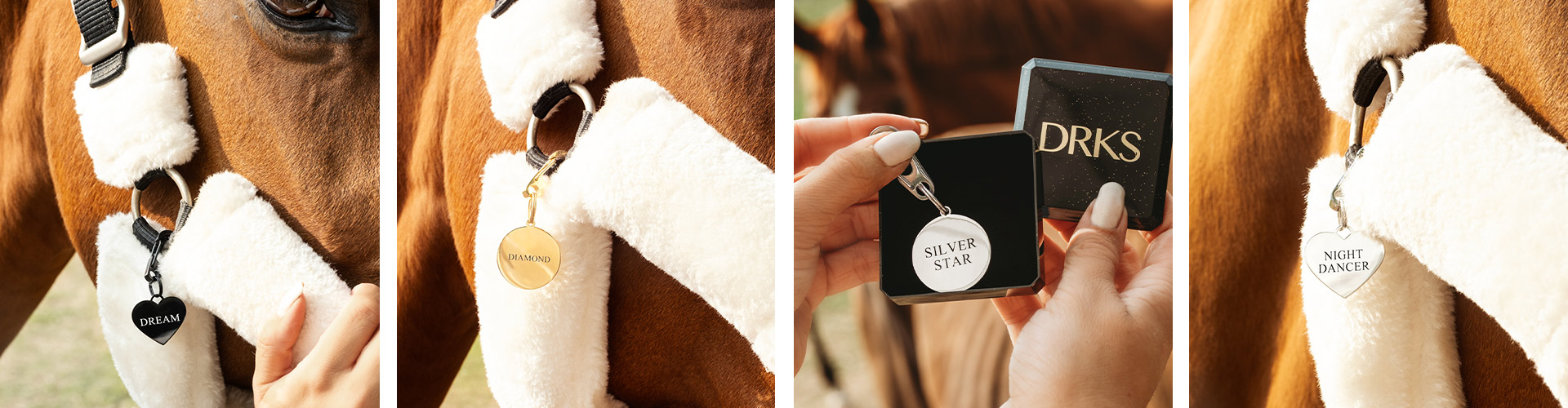 Paarden penning Paarden penning