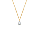 Daily Luxury Necklace V Gold