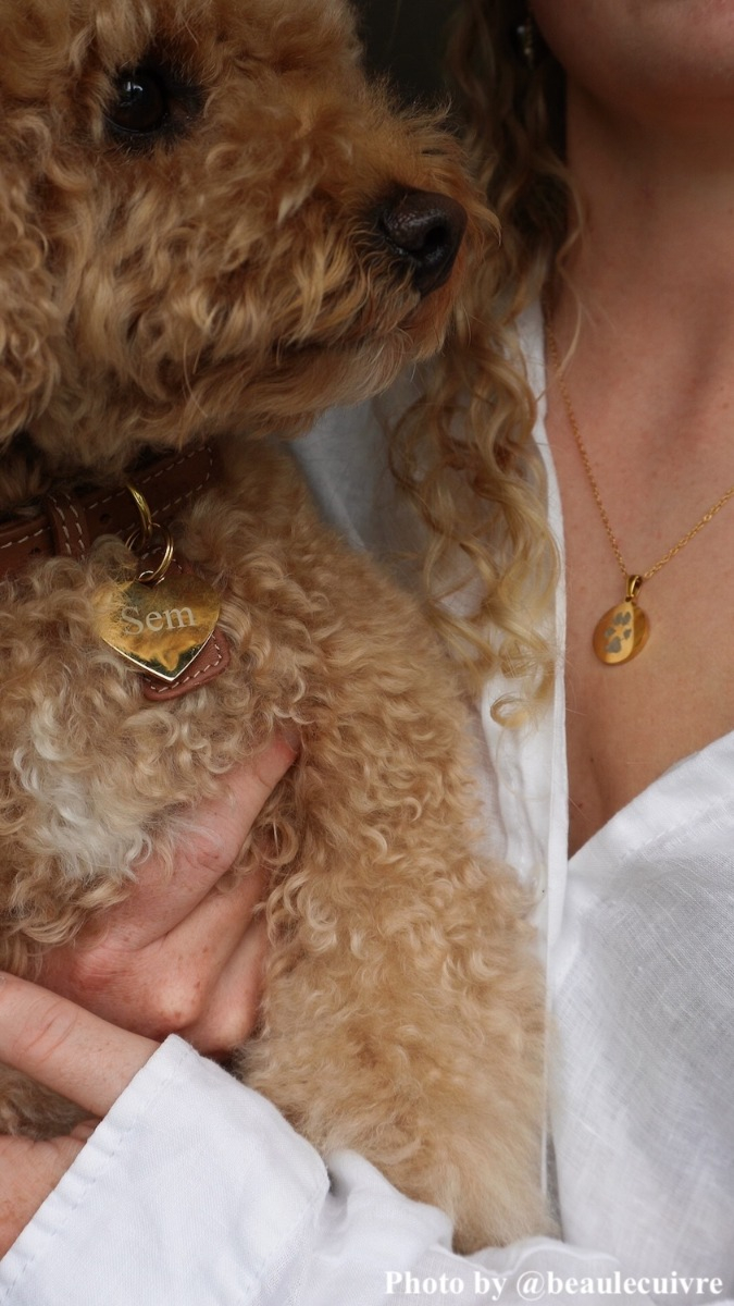 Influencer hondje match met baasje