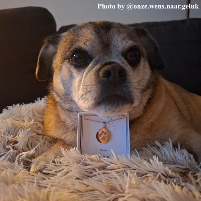 hondje van infleuncer met de hondenpoot ketting