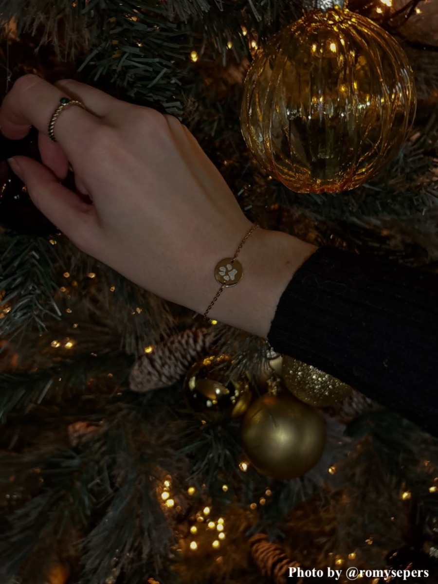 influencer armband goudkleurig hondenpoot
