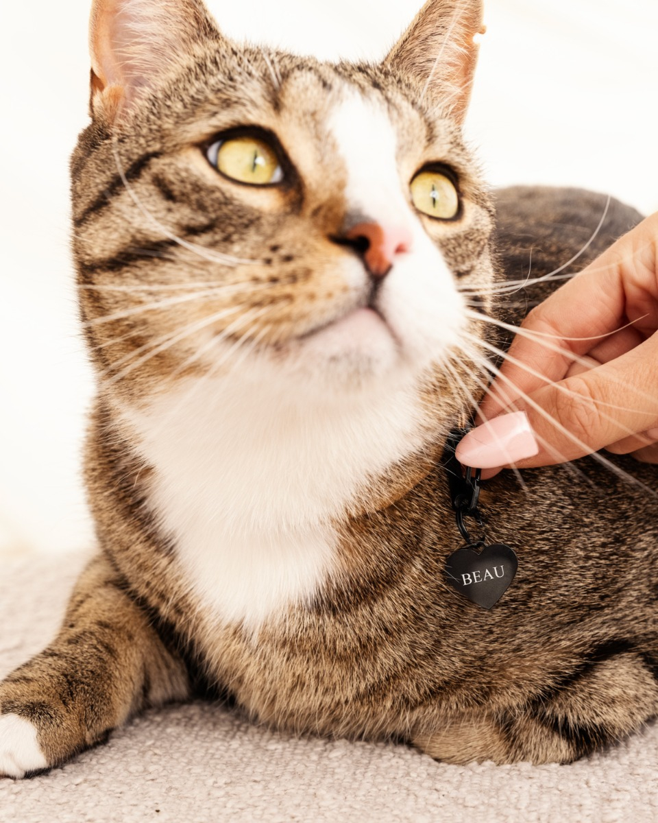 kattenpenning met naam op zwart hartje
