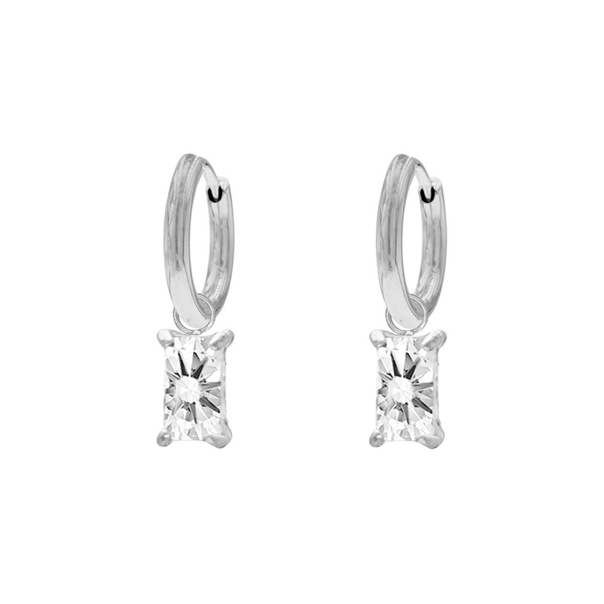 Special gift earrings