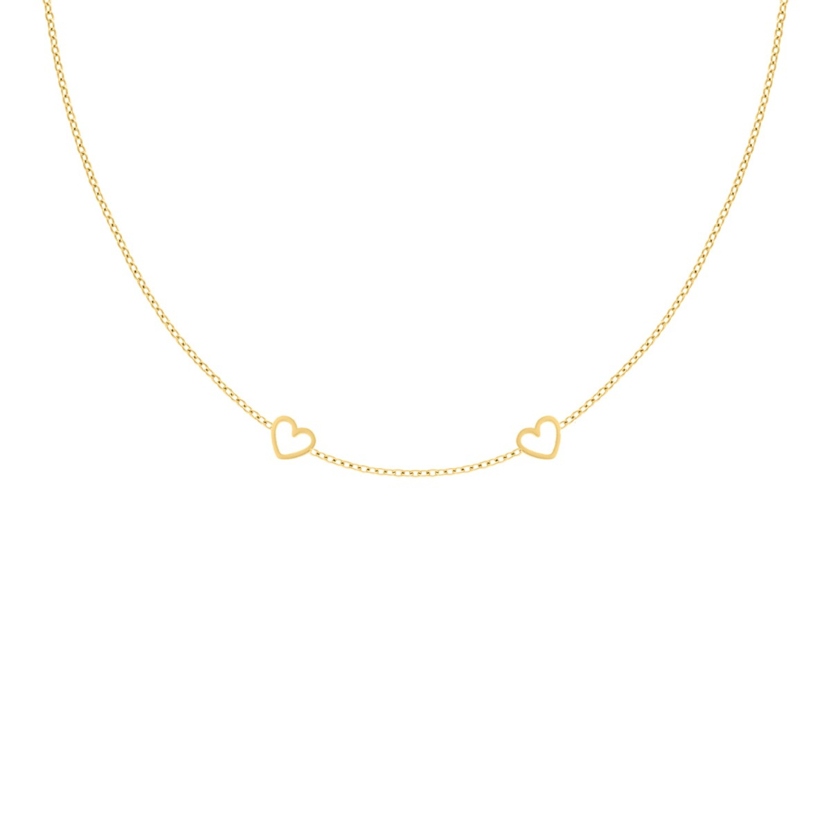 Ketting met 2 hartjes