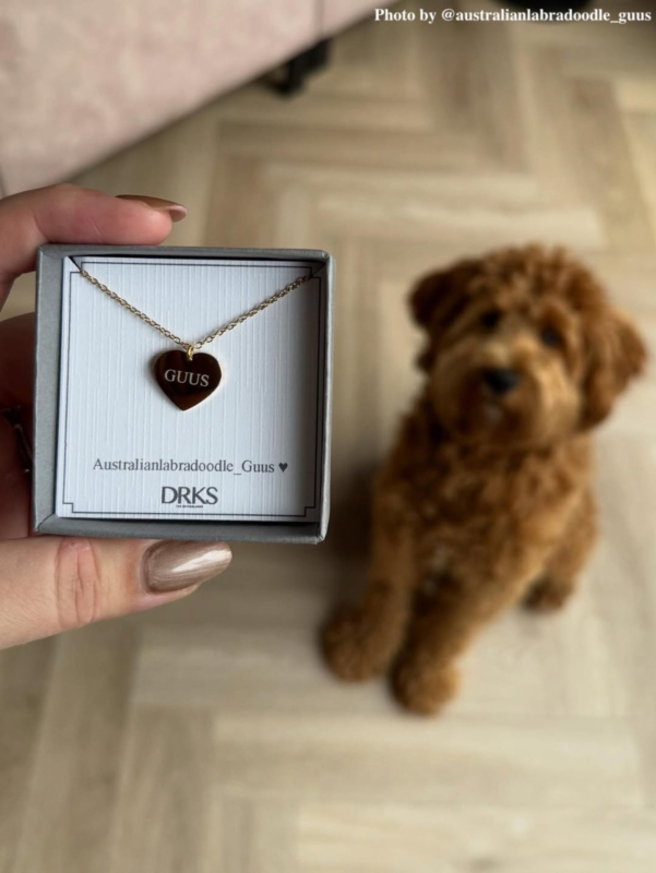 influencer foto met puppy 