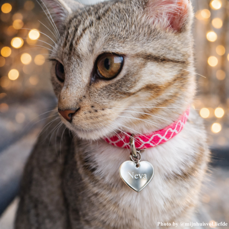 Kattenhalsband met zilveren graveerbaar hart