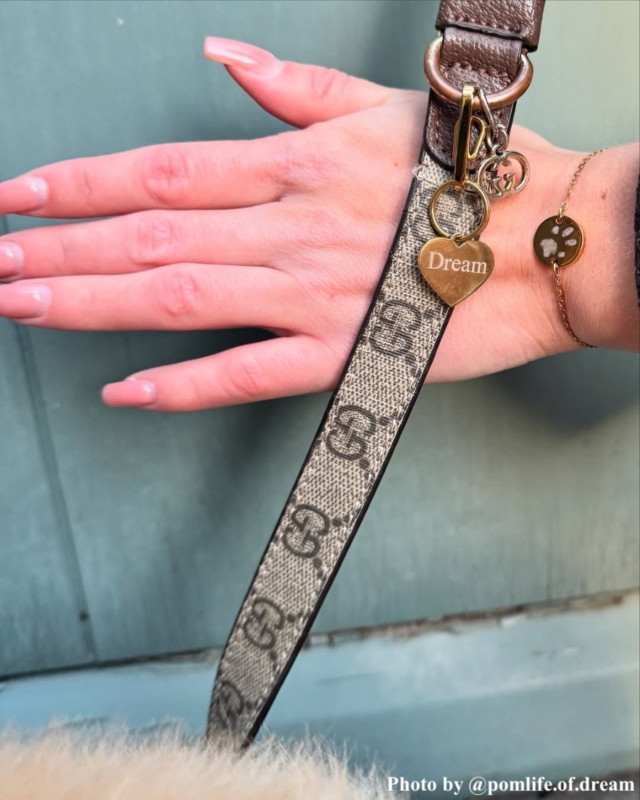 Armband met hondenpoot goudkleurig