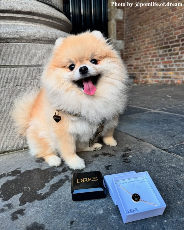Hondenpenning hartje graveren kleur goud