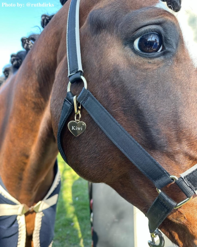 Paardenpenning hartje graveerbaar.