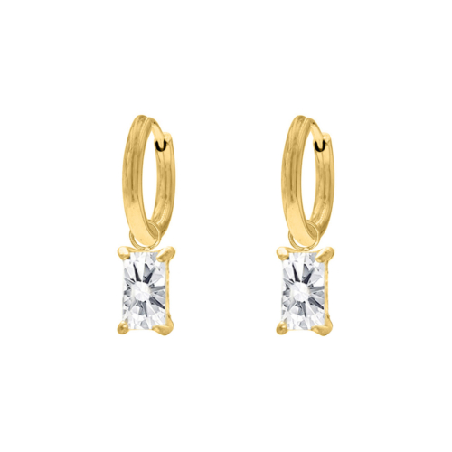 Special gift earrings goldplated