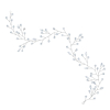 Shiny hairvine bruid