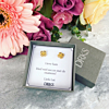 Gouden clover oorbelletjes