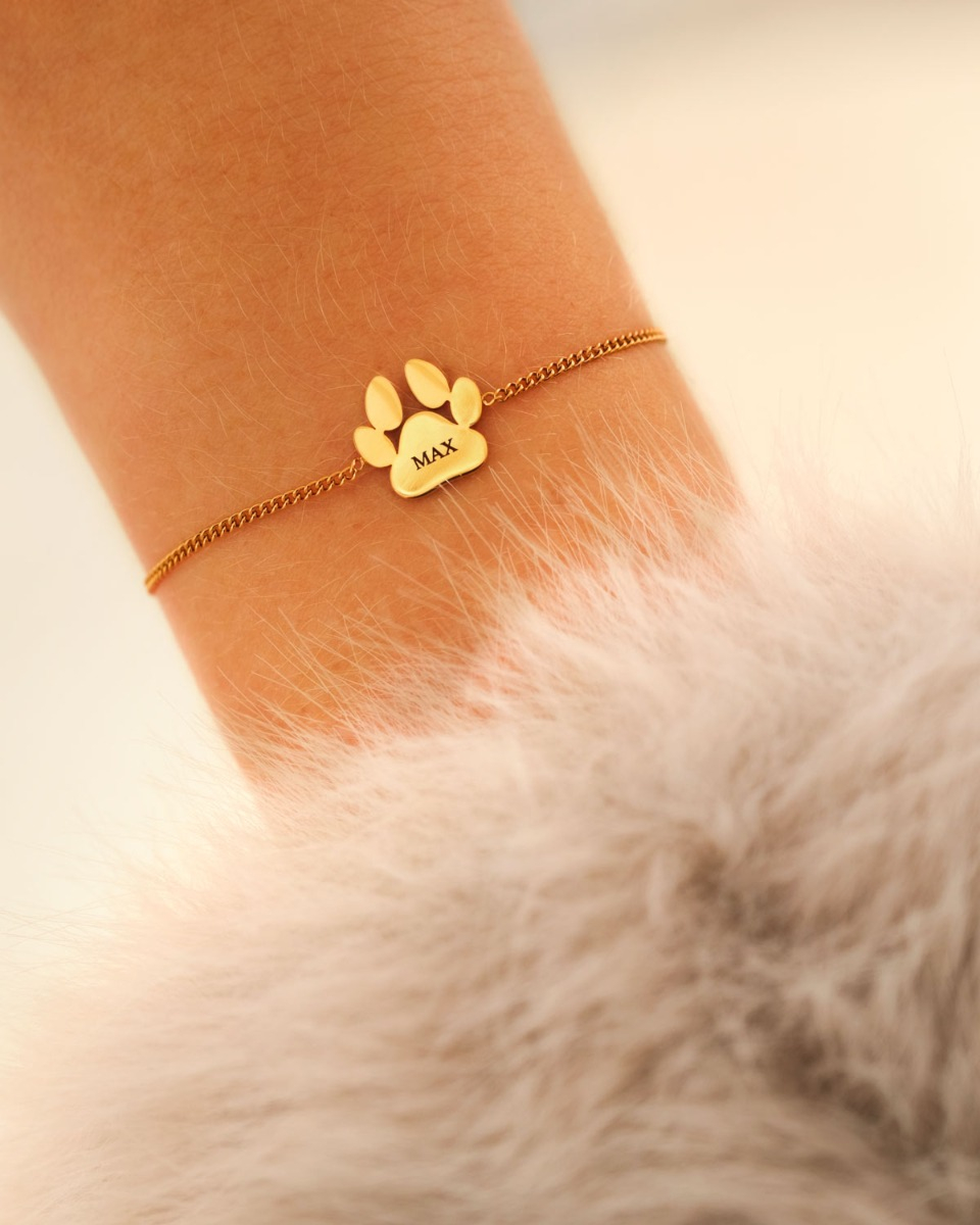 Gouden hondenpoot armband