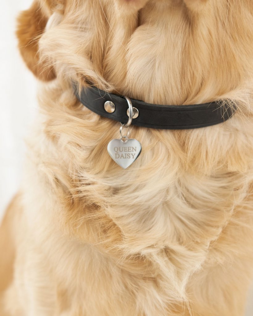 hondenpenning zilveren hart