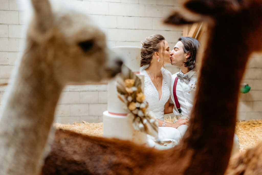 trouwfotos met alapcas