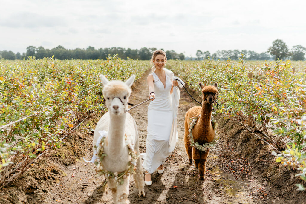 trouwfotos met alapcas