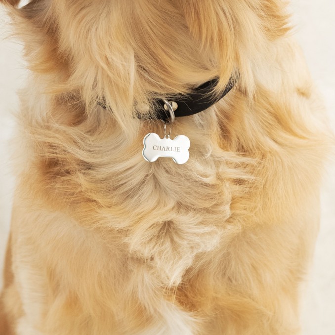 zilveren hondenpenning charlie