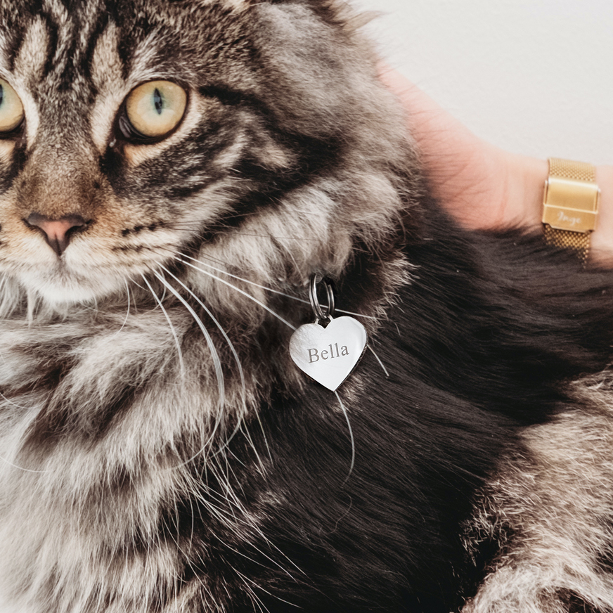 Kattenpenning zilveren hart