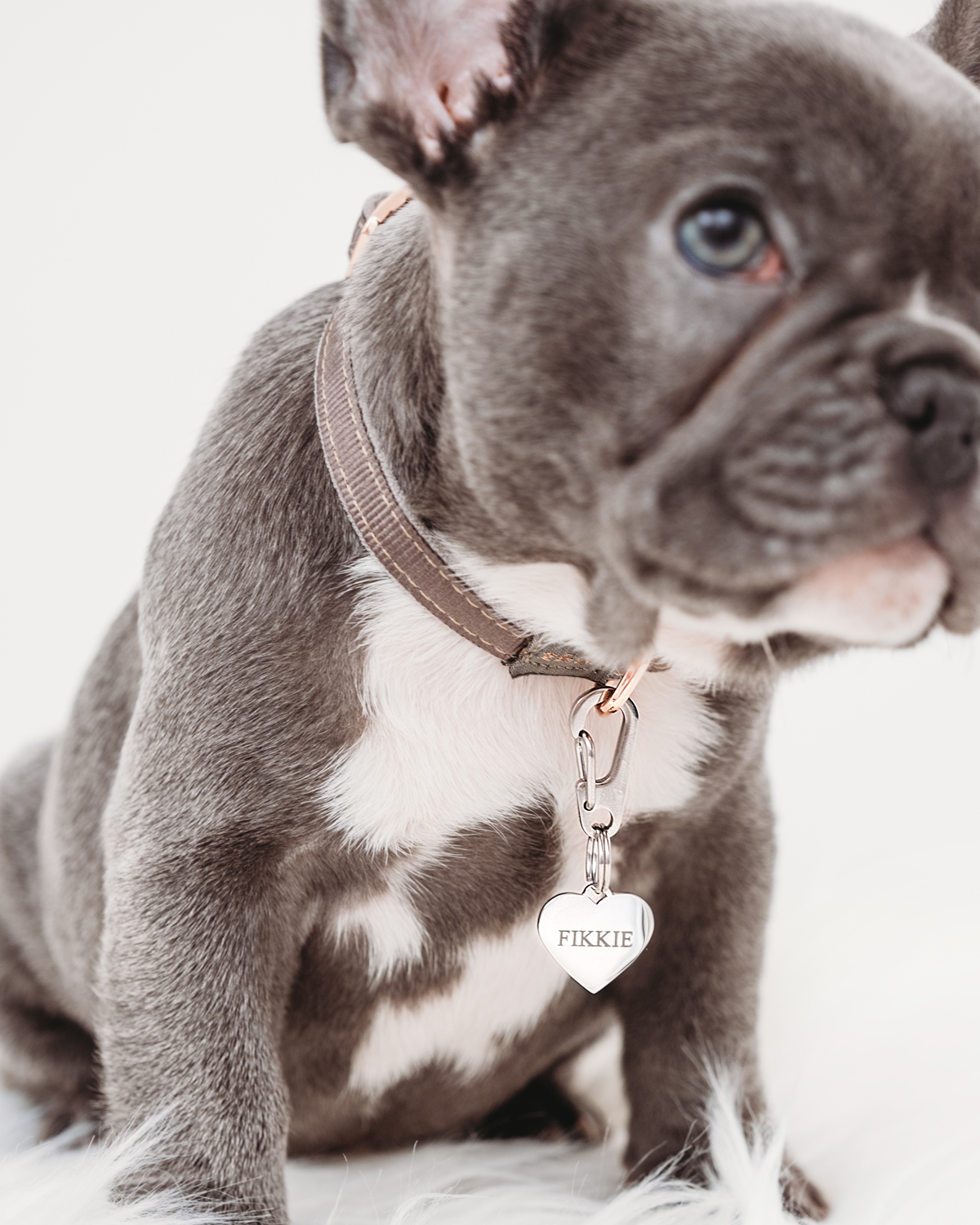 hondenpenning hartje zilver