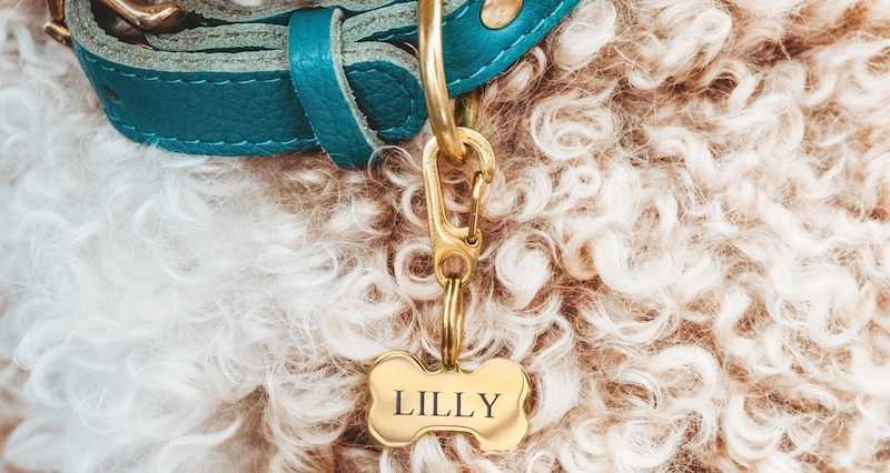 Waar moet ik op letten bij het graveren van een honden- of kattenpenning? Waar moet ik op letten bij het graveren van een honden- of kattenpenning?